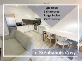 Le Stéphanois cozy centre-ville spacieux